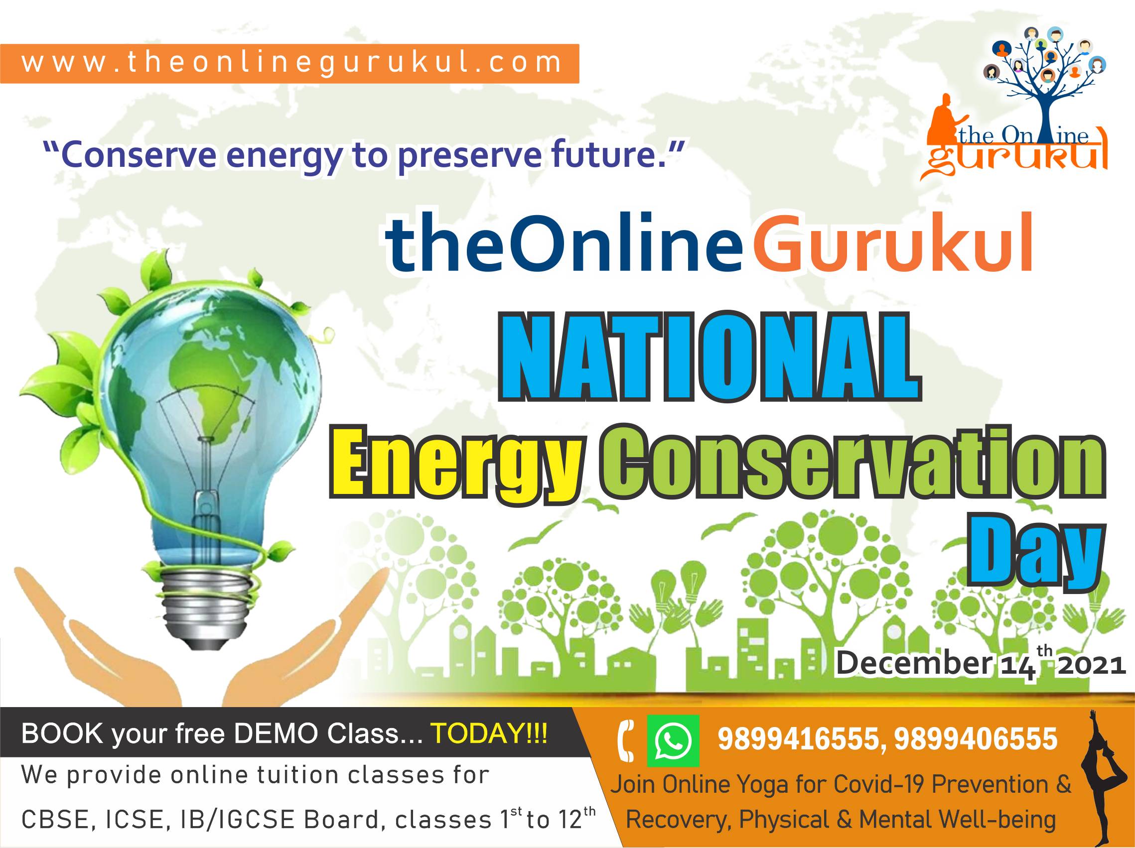 national energy conservation day
