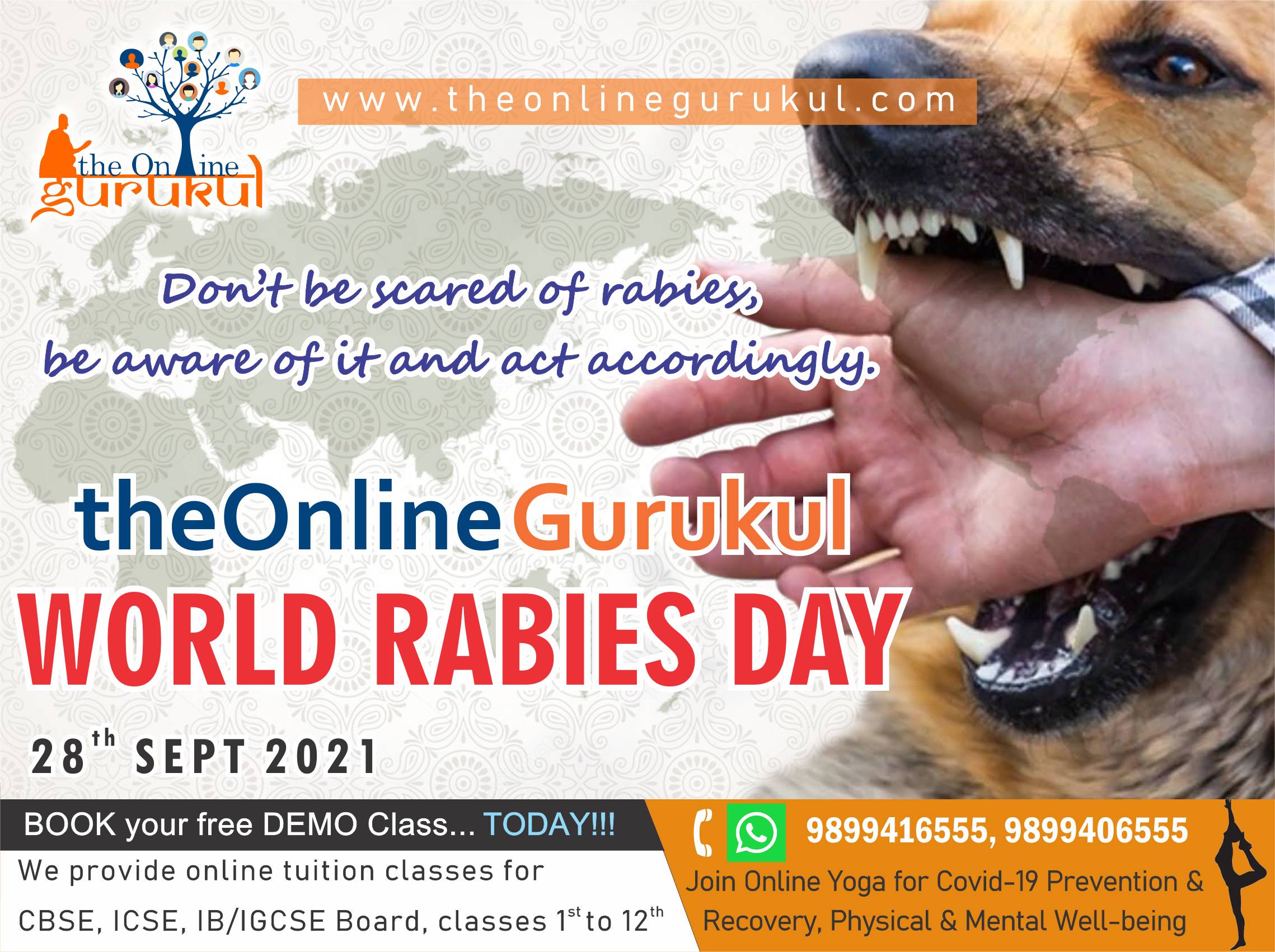 world rabies day