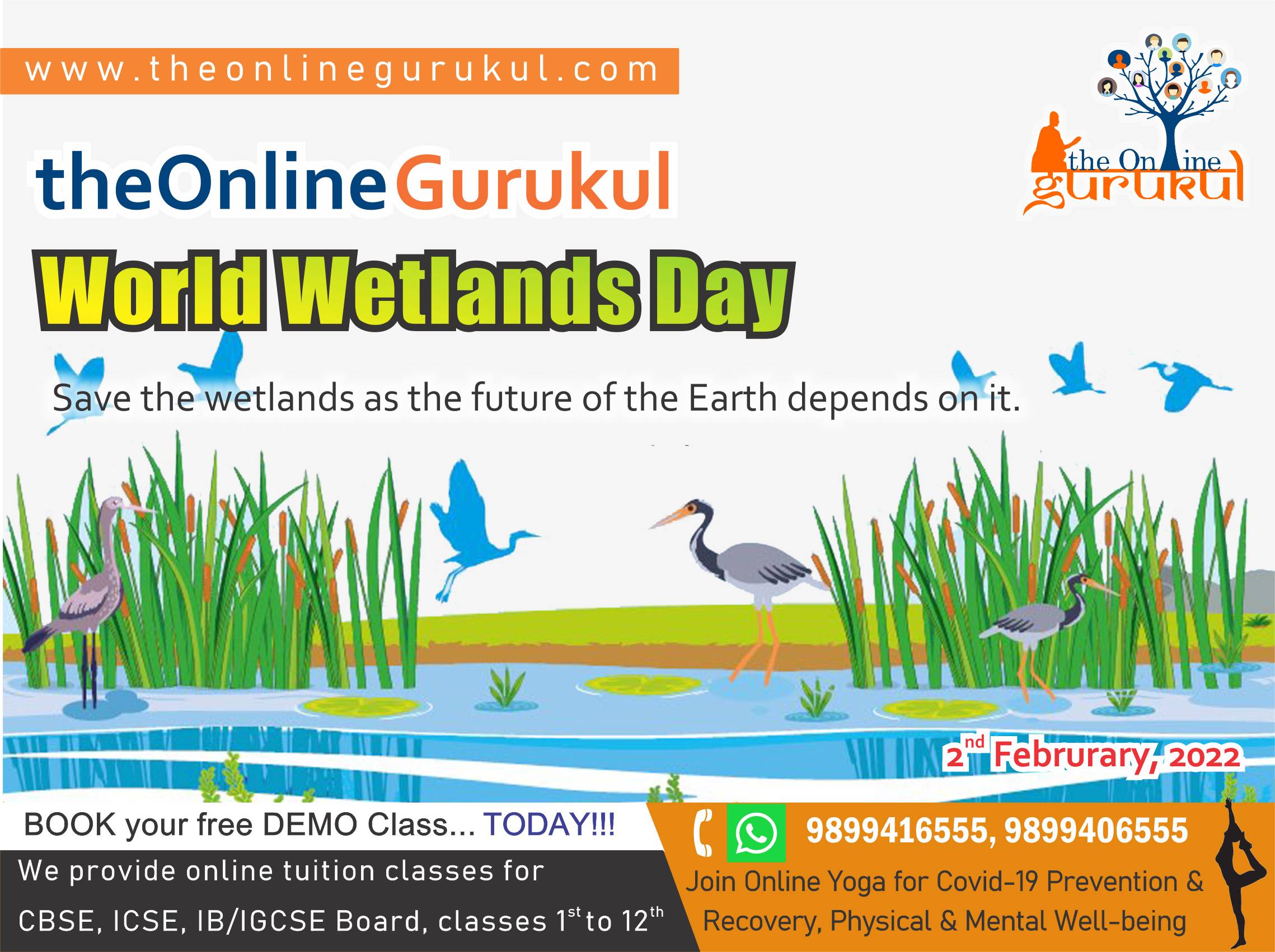 world wetlands day