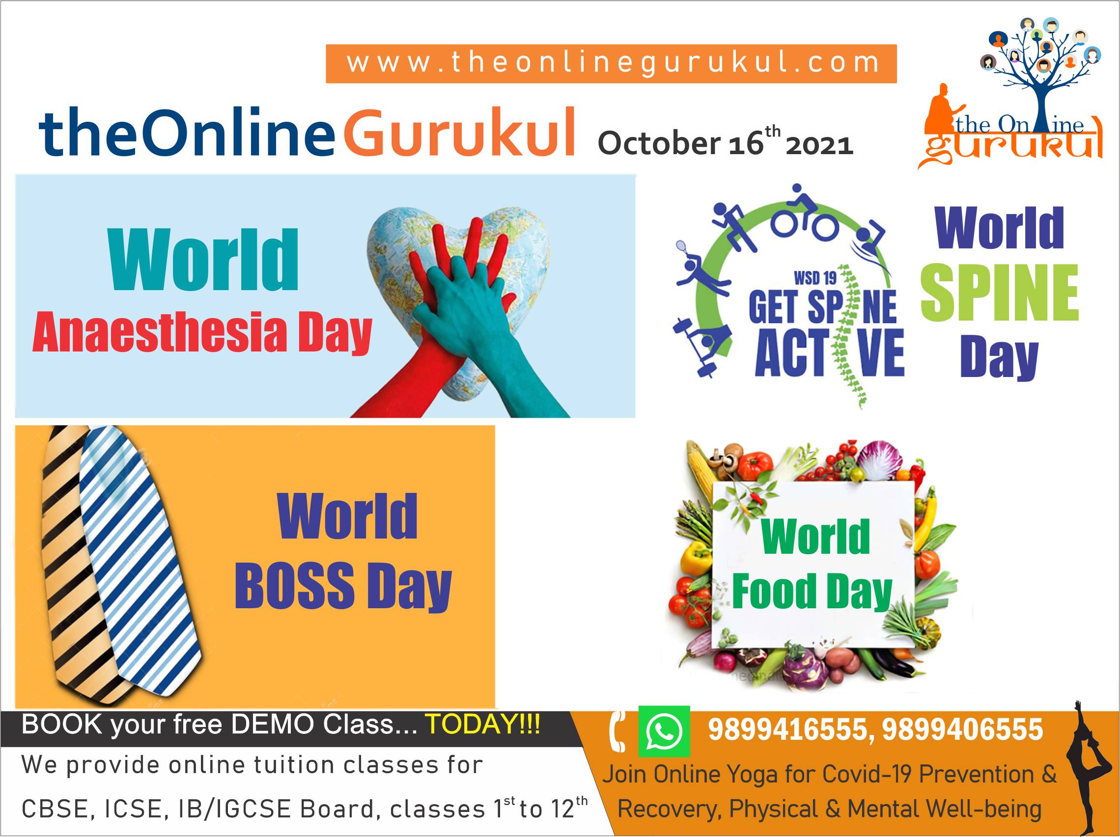 world  boss / food / spine / anaesthesia day